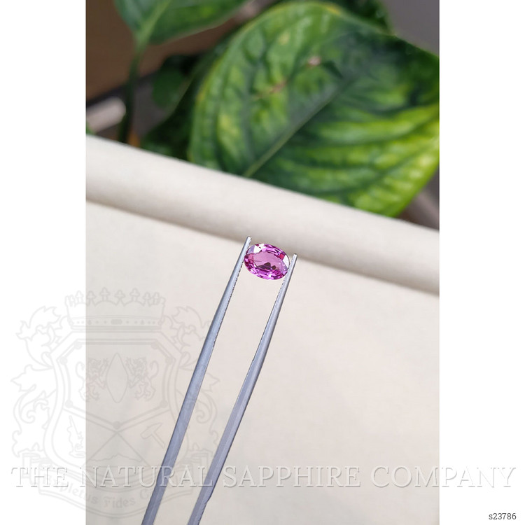 1.55 Ct. Pink Sapphire from Ceylon (Sri Lanka)