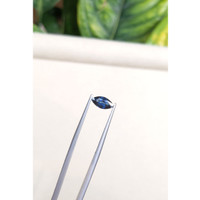 0.97 Ct. Blue Sapphire from Australia Life Style