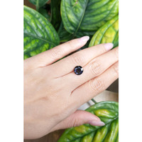 2.51 Ct. Blue Sapphire from Australia Life Style