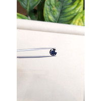 2.51 Ct. Blue Sapphire from Australia Life Style