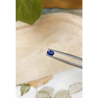 0.83 Ct. Blue Sapphire from Ceylon (Sri Lanka) Life Style
