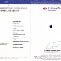 Jewelry Scan Report