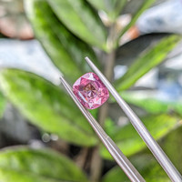 2.19 Ct. Purplish Pink Sapphire from Madagascar Life Style