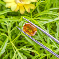 4.32 Ct. Yellowish Orange Sapphire from Ceylon (Sri Lanka) Life Style