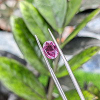 2.17 Ct. Purplish Pink Sapphire from Ceylon (Sri Lanka) Life Style