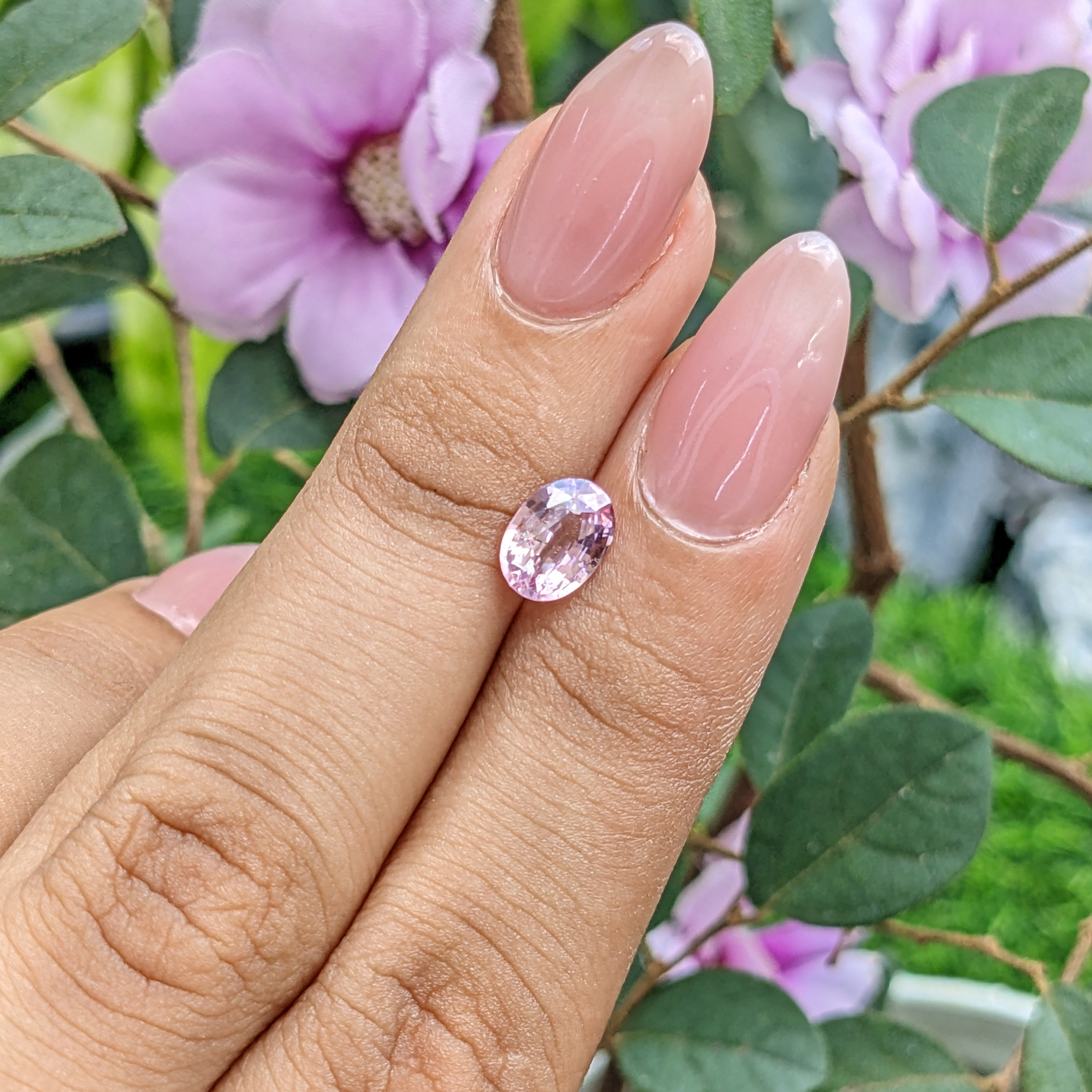 Loose Pink Sapphire - Oval 1.39 Ct. - #S23838 | The Natural