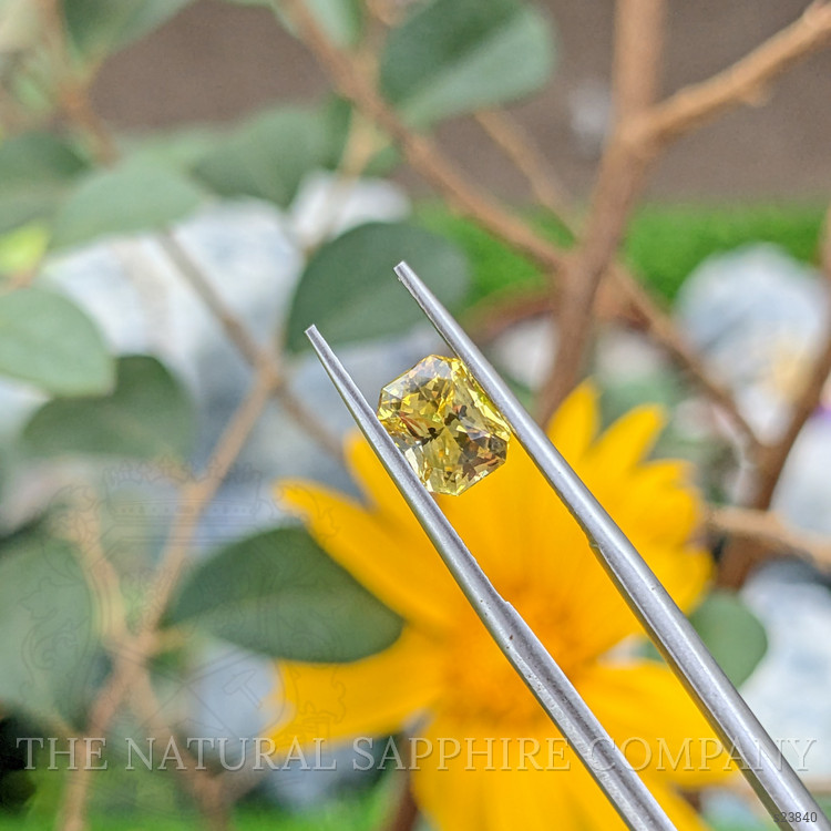 1.70 Ct. Yellow Sapphire from Ceylon (Sri Lanka)