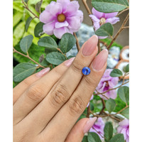 1.41 Ct. Blue Sapphire from Madagascar Life Style