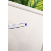 0.50 Ct. Blue Sapphire from Ceylon (Sri Lanka) Life Style