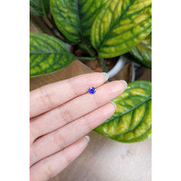 0.50 Ct. Blue Sapphire from Ceylon (Sri Lanka) Life Style