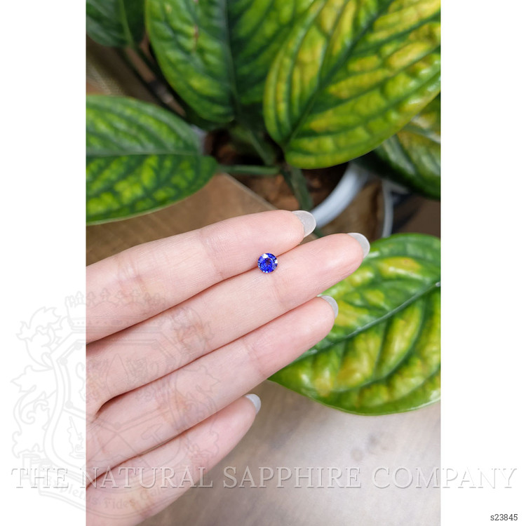 0.50 Ct. Blue Sapphire from Ceylon (Sri Lanka)