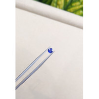 0.69 Ct. Blue Sapphire from Ceylon (Sri Lanka) Life Style