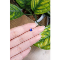 0.69 Ct. Blue Sapphire from Ceylon (Sri Lanka) Life Style