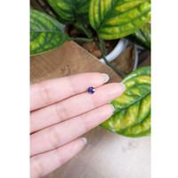 0.71 Ct. Blue Sapphire from Ceylon (Sri Lanka) Life Style