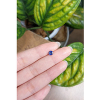 0.71 Ct. Blue Sapphire from Ceylon (Sri Lanka) Life Style