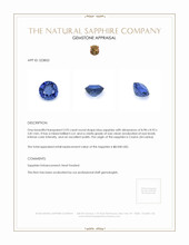 3.95 Ct. Blue Sapphire from Ceylon (Sri Lanka) Appraisal