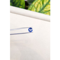 3.95 Ct. Blue Sapphire from Ceylon (Sri Lanka) Life Style