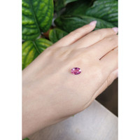 2.02 Ct. Pink Sapphire from Ceylon (Sri Lanka) Life Style