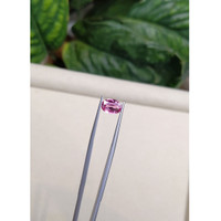 2.02 Ct. Pink Sapphire from Ceylon (Sri Lanka) Life Style