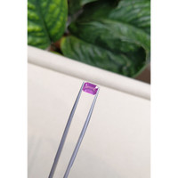 1.73 Ct. Pink Sapphire from Ceylon (Sri Lanka) Life Style