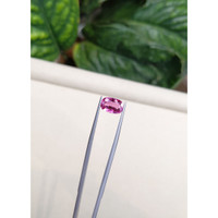 3.08 Ct. Pink Sapphire from Ceylon (Sri Lanka) Life Style