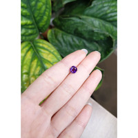 1.60 Ct. Purple Sapphire from Ceylon (Sri Lanka) Life Style