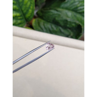 2.17 Ct. Pink Sapphire from Ceylon (Sri Lanka) Life Style