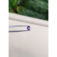 0.81 Ct. Purple Sapphire from Ceylon (Sri Lanka) Life Style