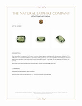 2.67 Ct. Green Sapphire from Ceylon (Sri Lanka) Appraisal