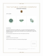 Jewelry Appraisal