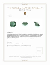 4.64 Ct. Bluish Green Sapphire from Montana Appraisal