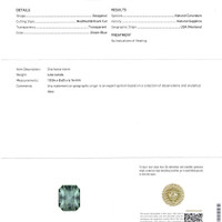 4.64 Ct. Bluish Green Sapphire from Montana Scan Report