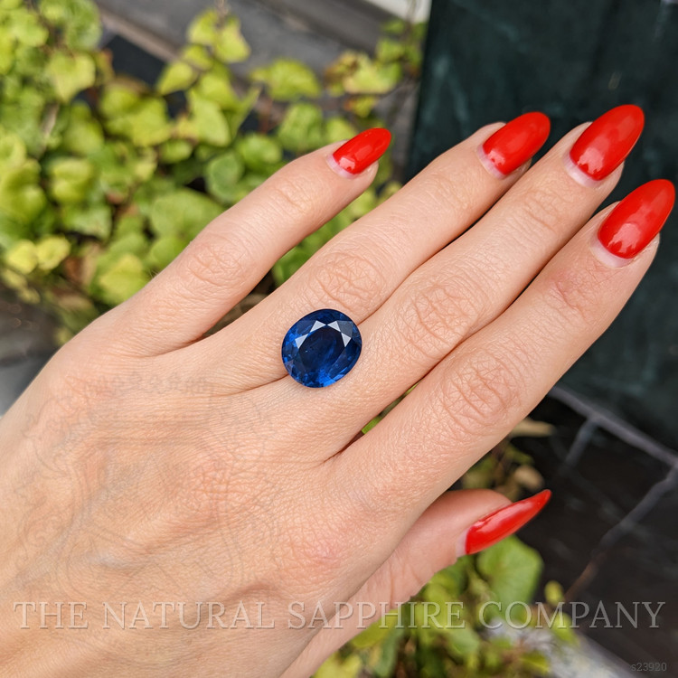 10.73 Ct. Blue Sapphire from Thailand