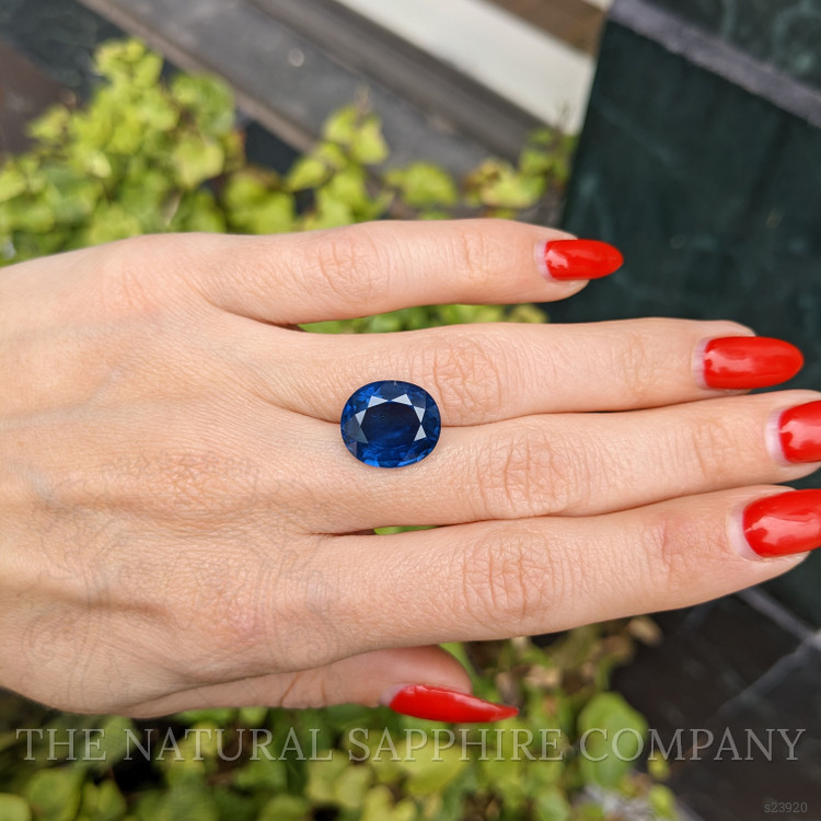 10.73 Ct. Blue Sapphire from Thailand