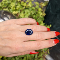 9.07 Ct. Blue Sapphire from Thailand Life Style