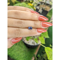1.29 Ct. Bi Color Sapphire from Ceylon (Sri Lanka) Life Style