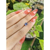 1.29 Ct. Bi Color Sapphire from Ceylon (Sri Lanka) Life Style