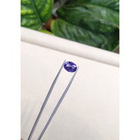 4.01 Ct. Purple Sapphire from Ceylon (Sri Lanka) Life Style