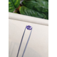 2.61 Ct. Purple Sapphire from Ceylon (Sri Lanka) Life Style