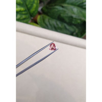 1.55 Ct. Padparadscha Sapphire from Ceylon (Sri Lanka) Life Style