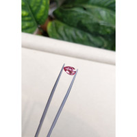 1.52 Ct. Padparadscha Sapphire from Ceylon (Sri Lanka) Life Style