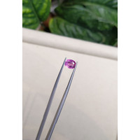 2.04 Ct. Pink Sapphire from Ceylon (Sri Lanka) Life Style
