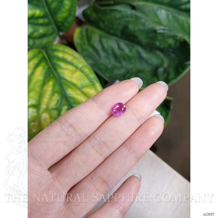 2.04 Ct. Pink Sapphire from Ceylon (Sri Lanka)