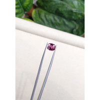 2.68 Ct. Purplish Pink Sapphire from Ceylon (Sri Lanka) Life Style