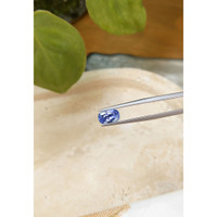 2.11 Ct. Blue Sapphire from Ceylon (Sri Lanka) Life Style
