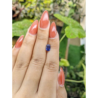 1.10 Ct. Blue Sapphire from Ceylon (Sri Lanka) Life Style