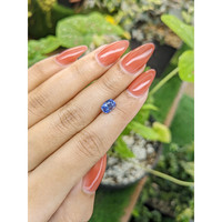 1.61 Ct. Blue Sapphire from Ceylon (Sri Lanka) Life Style