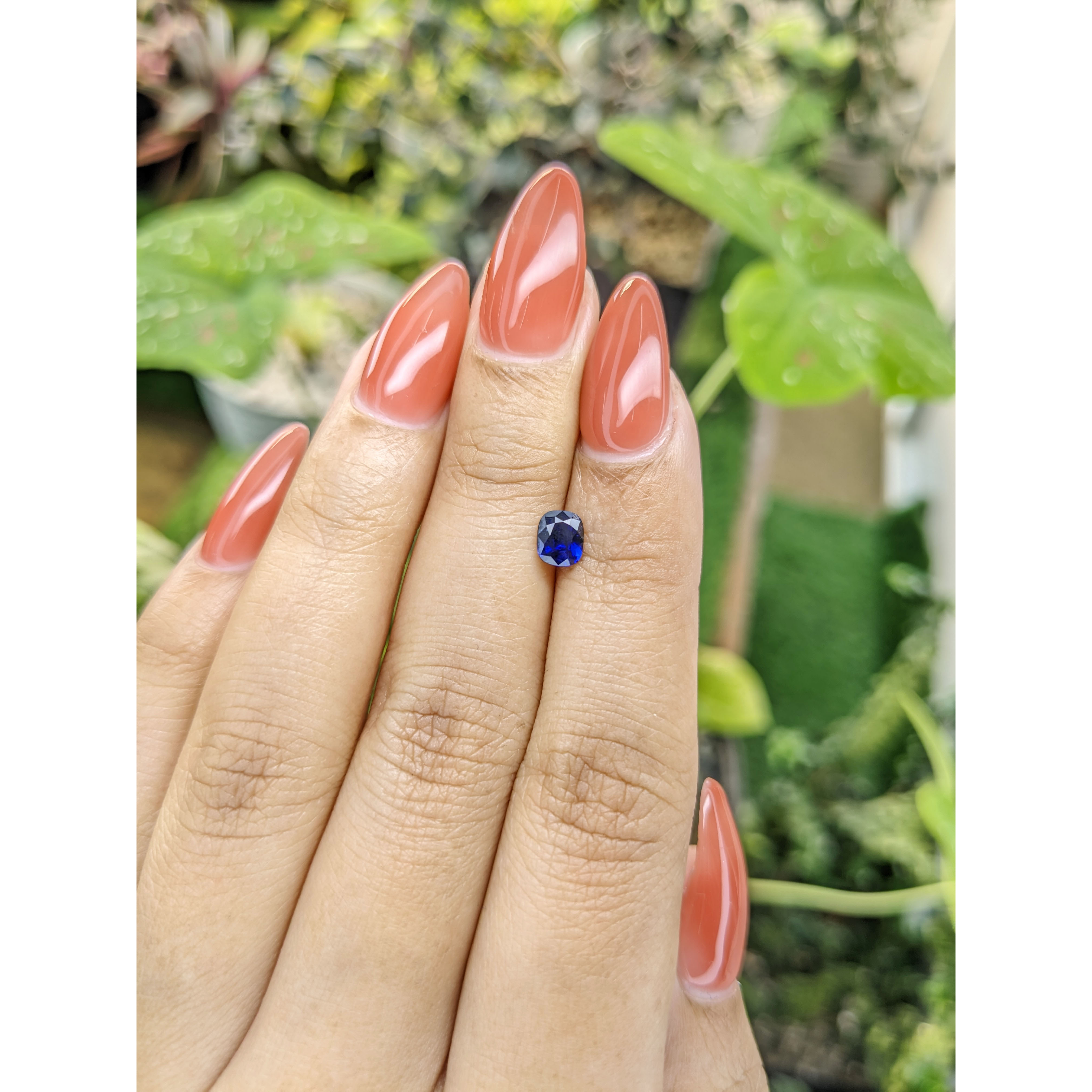 Loose Blue Sapphire - Cushion 0.55 Ct. - #S24039 | The Natural