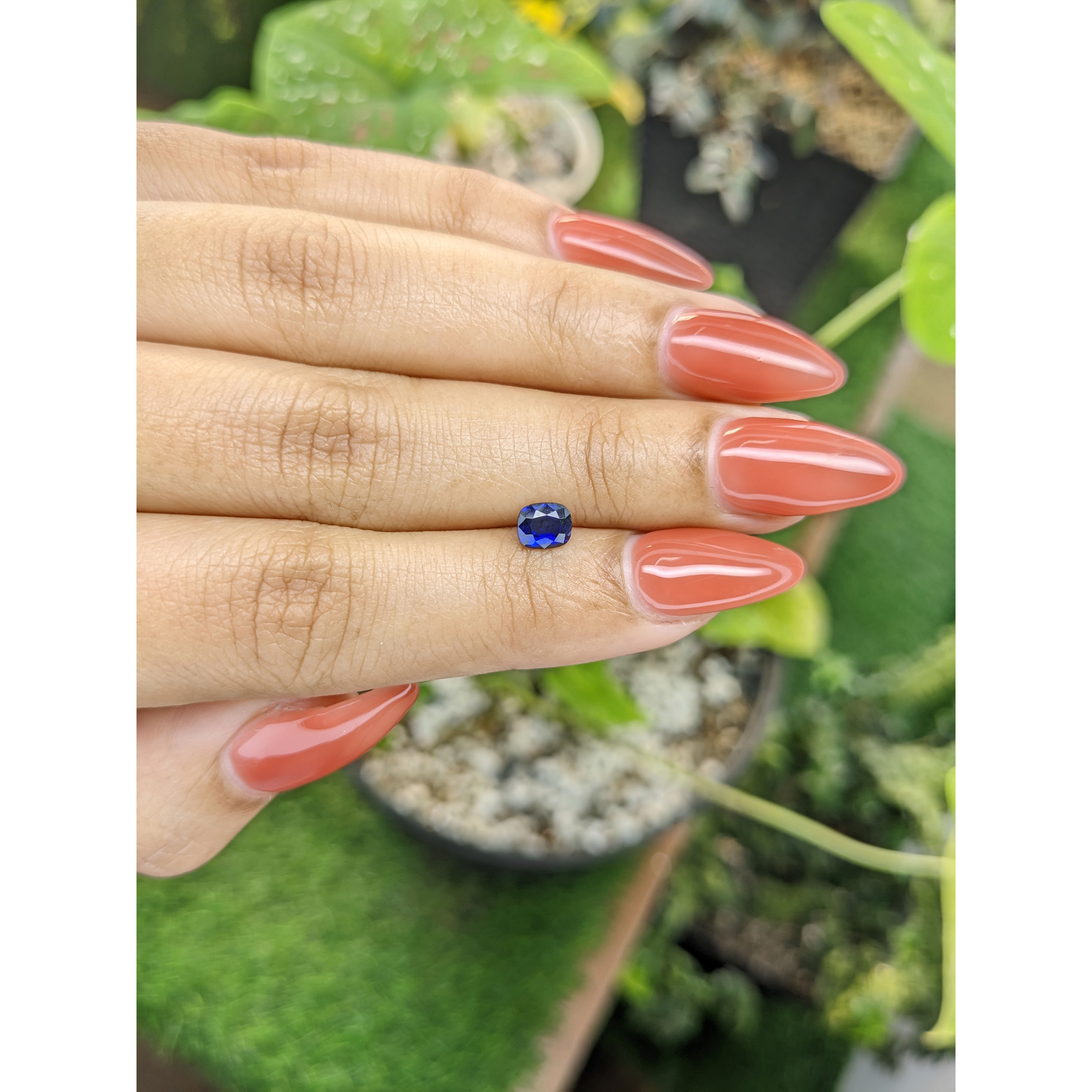 Loose Blue Sapphire - Cushion 0.55 Ct. - #S24039 | The Natural