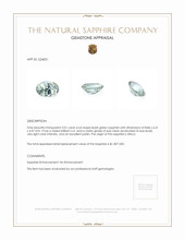 Jewelry Appraisal